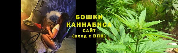 амф Елизово