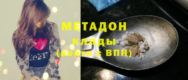 ГАЛЛЮЦИНОГЕННЫЕ ГРИБЫ Ельня