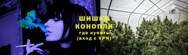 ГАЛЛЮЦИНОГЕННЫЕ ГРИБЫ Ельня