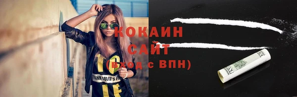 ГАЛЛЮЦИНОГЕННЫЕ ГРИБЫ Ельня