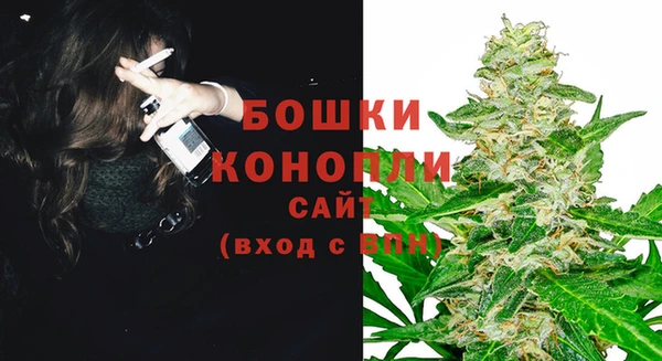 ГАЛЛЮЦИНОГЕННЫЕ ГРИБЫ Ельня