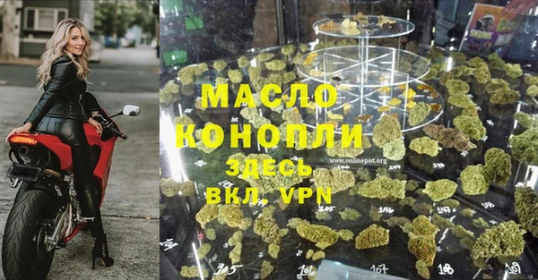 амф Елизово