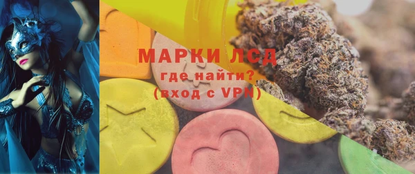 ГАЛЛЮЦИНОГЕННЫЕ ГРИБЫ Ельня