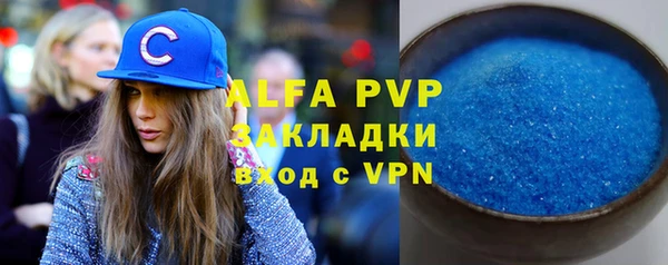 ГАЛЛЮЦИНОГЕННЫЕ ГРИБЫ Ельня