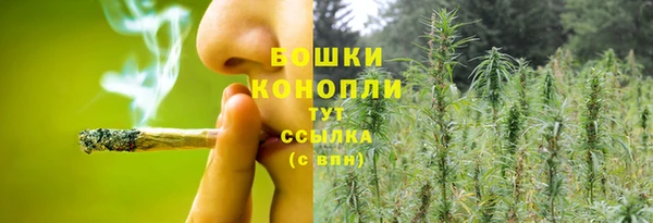 амф Елизово